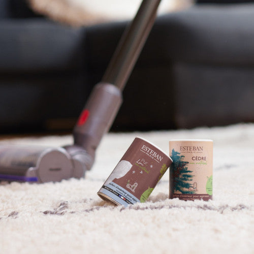 Profumo in polvere per Aspirapolvere Pur Lin